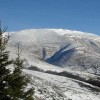 Photo by: Dragan Bosnić